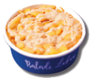 Mango Salankatia